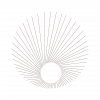 A circular geometric design with radiating thin lines forming a sunburst pattern on a light background.