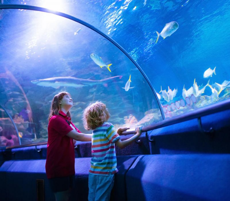 Two children watch fish swim above them in an underwater tunnel at an aquarium, surrounded by blue light.