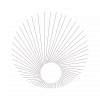 A circular geometric design with radiating thin lines forming a sunburst pattern on a light background.